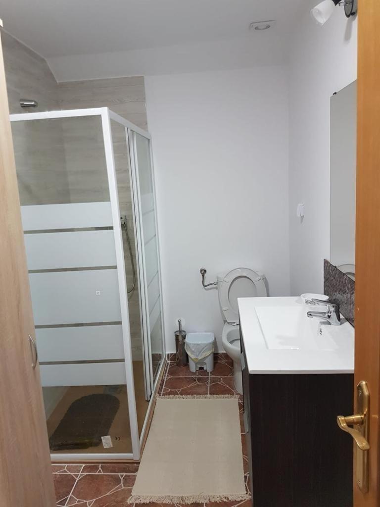 Casa Magnolia Pensionat Beclean  Rum bild